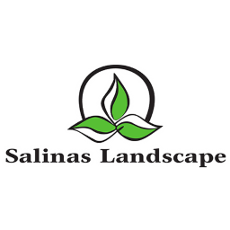 SalinasLandscape